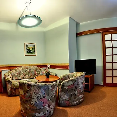 芳缇斯特瑞膳宿旅馆 特伦钦温泉区