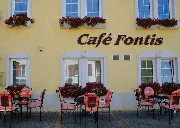 Vendégház Fontis Terrae 3*